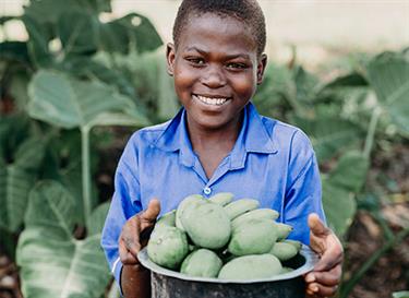 Donate fruit trees